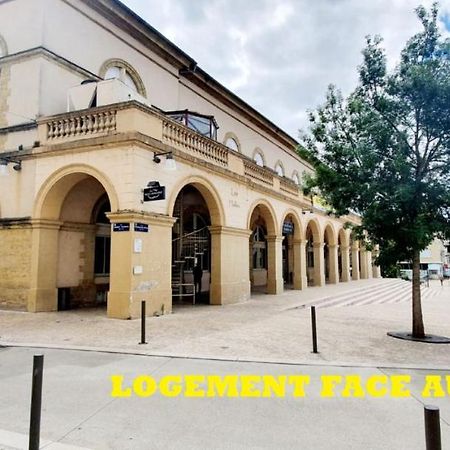 Le Wlerick 4 - Hyper Centre - Au Calme - Wifi Apartment Mont-de-Marsan Bagian luar foto